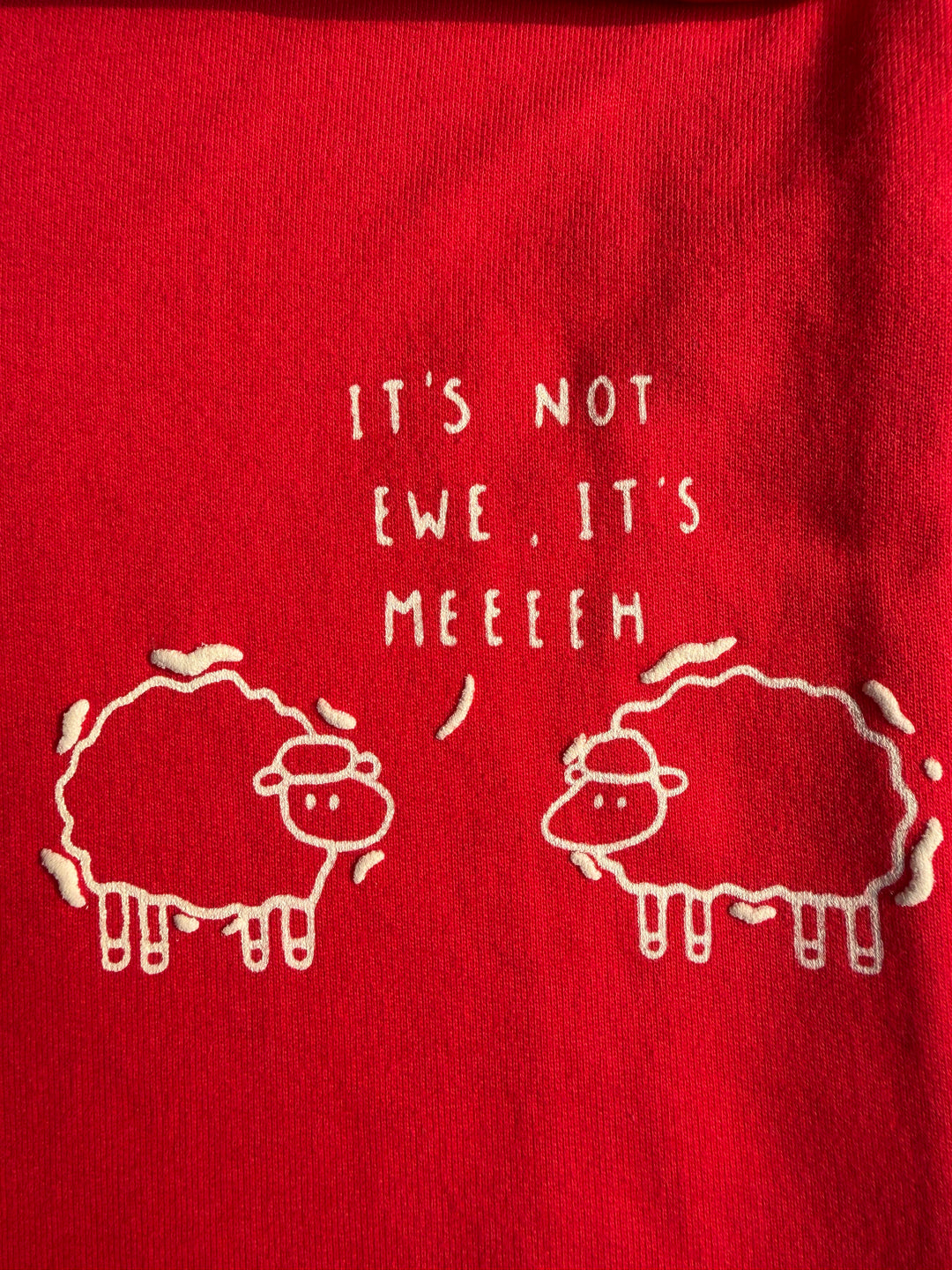 TRUTH ON RED HEAVYWEIGHT T-SHIRT